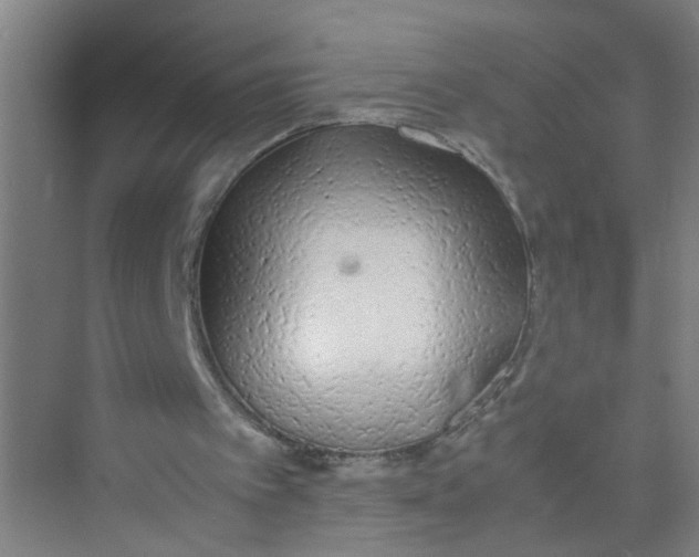 X0000071970097200608041656
