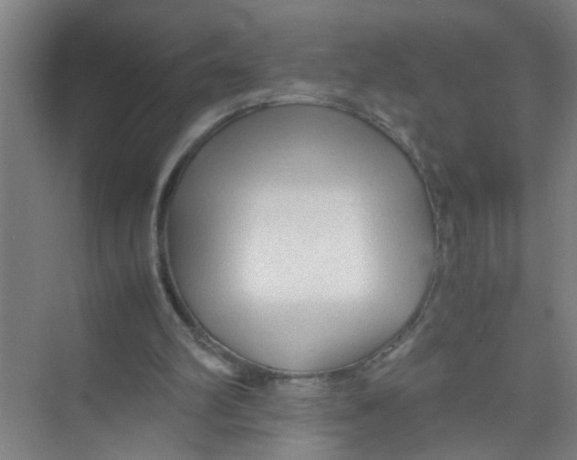 X0000071970102200608041656