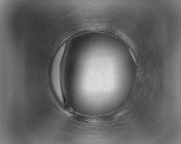 X0000071970105200608041656