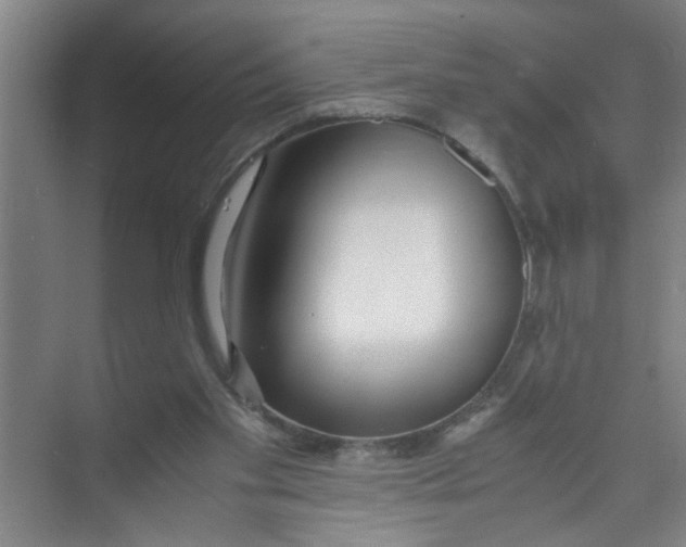 X0000071970109200608041656