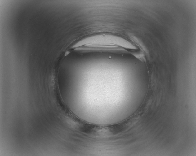X0000071970113200608041656