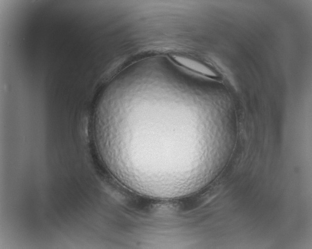 X0000071970115200608041656