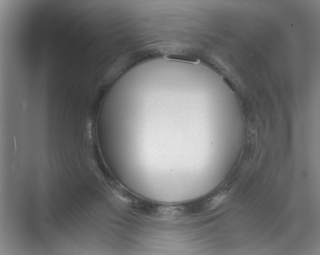 X0000071970117200608041656