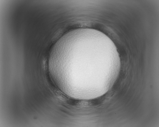 X0000071970123200608041656