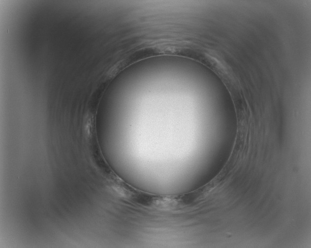 X0000071970125200608041656