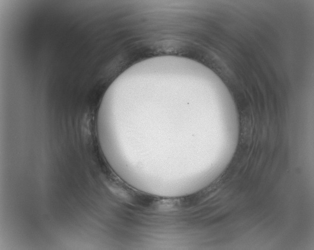 X0000071970126200608041656