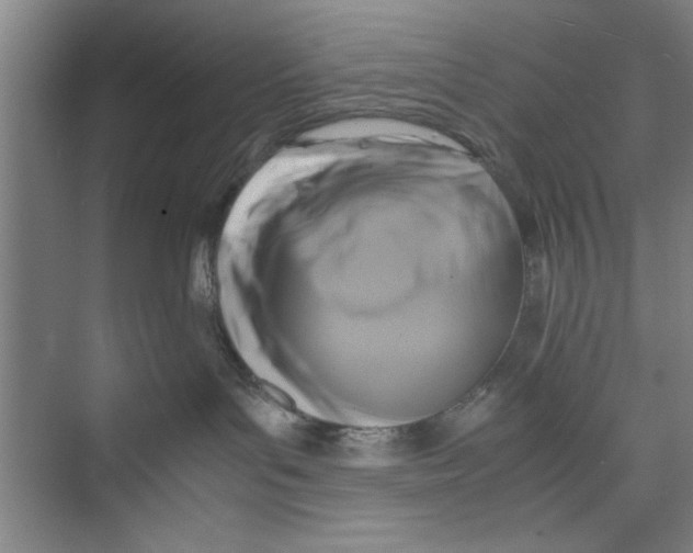 X0000071970143200608041655