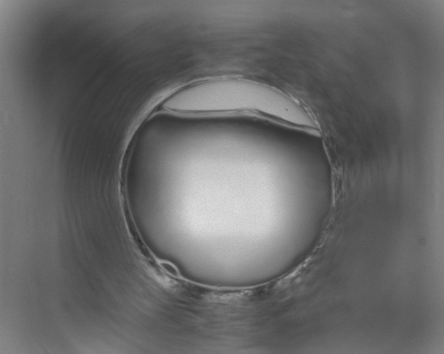 X0000071970147200608041654