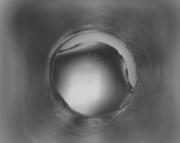 X0000071970150200608041655