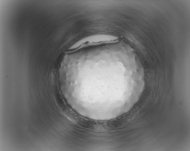 X0000071970165200608041655