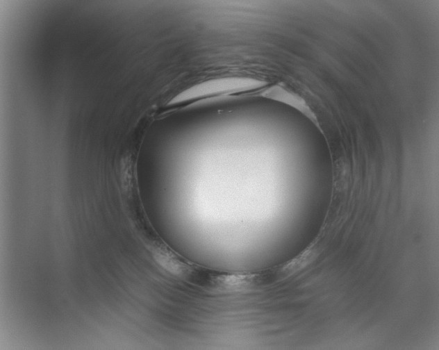 X0000071970184200608041655