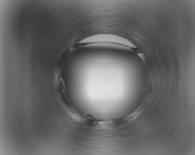 X0000071970188200608041655