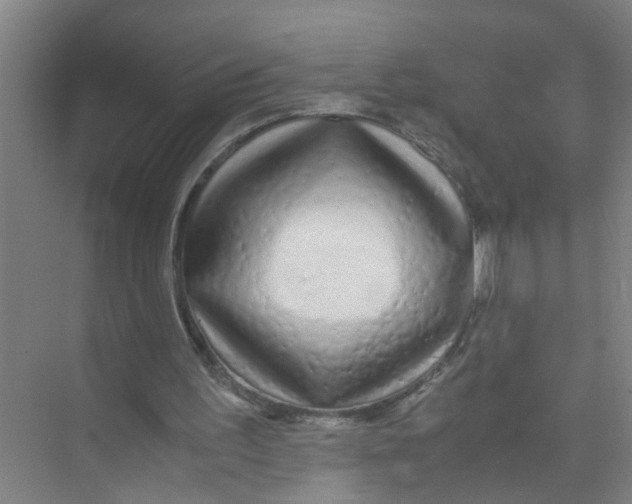X0000071970195200608041654