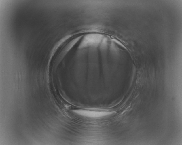 X0000071970200200608041654