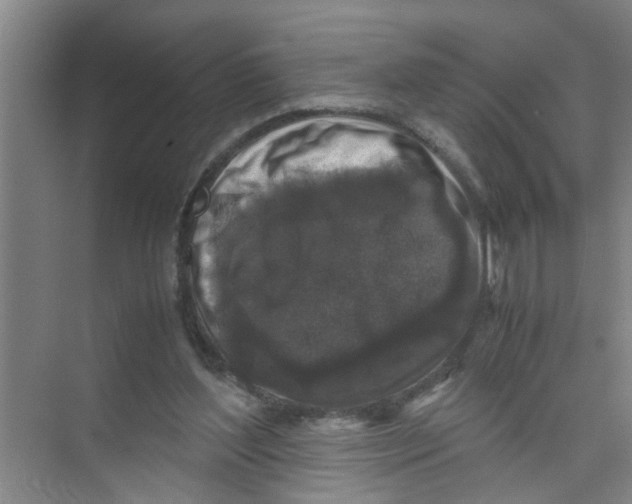 X0000071970204200608041654