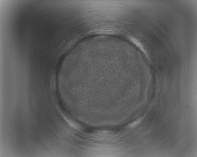 X0000071970205200608041654