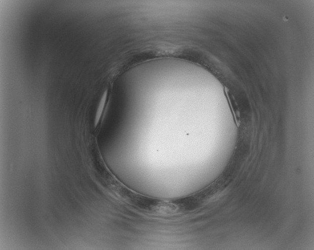 X0000071970215200608041654