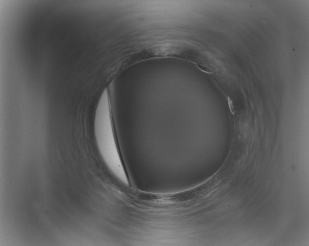X0000071970219200608041654