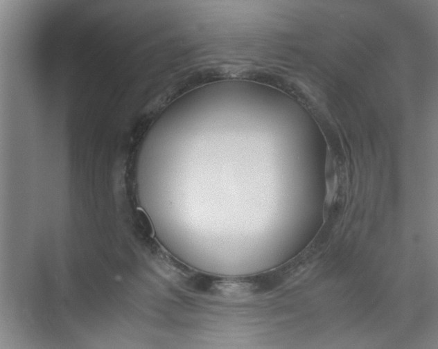 X0000071970221200608041654