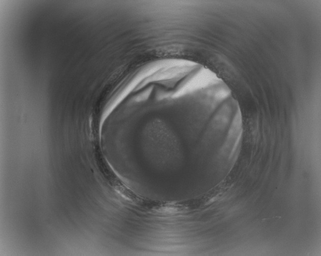X0000071970224200608041654