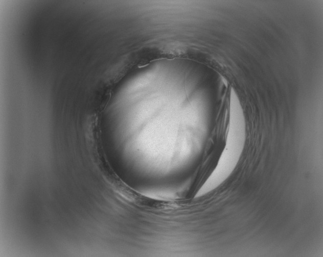 X0000071970229200608041654