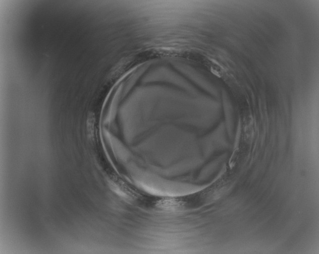 X0000071970231200608041654