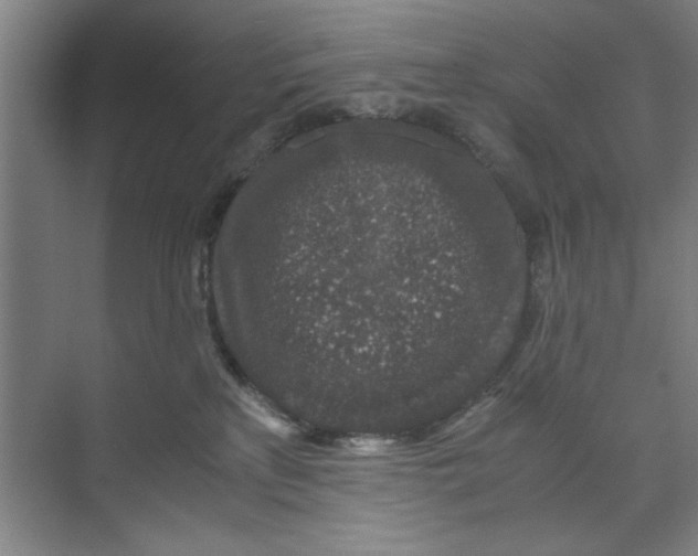 X0000071970233200608041654
