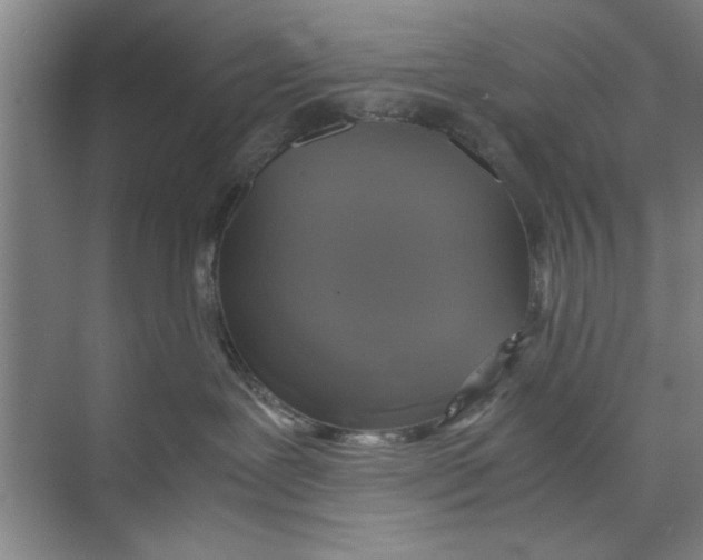 X0000071970239200608041654