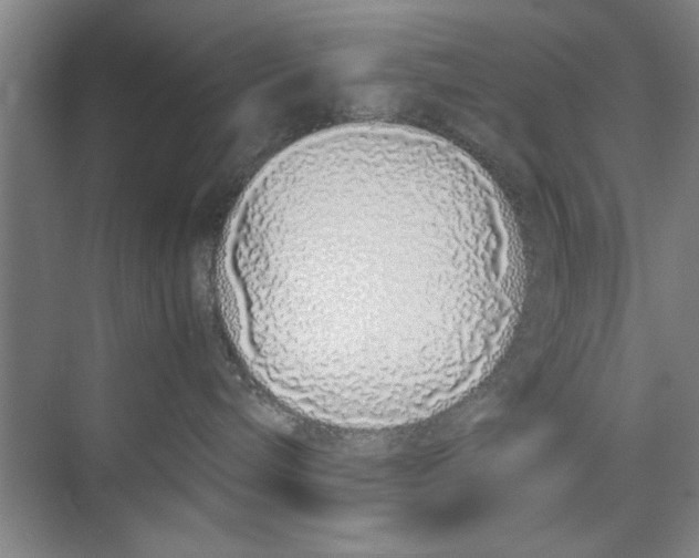 X0000071970240200608041654