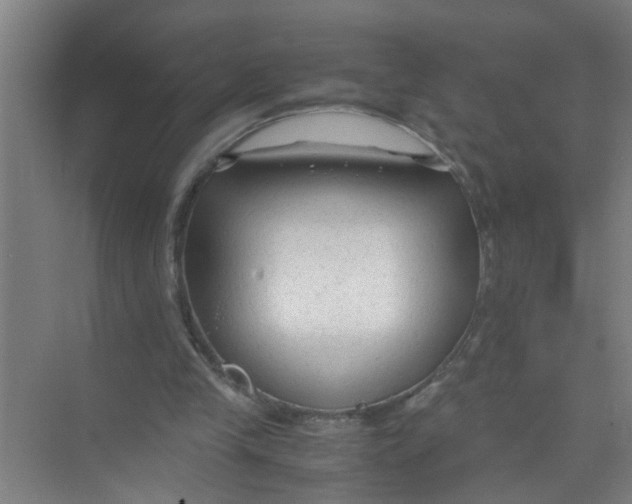 X0000071970245200608041653