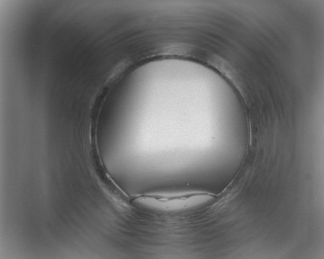 X0000071970253200608041653