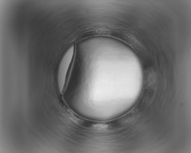 X0000071970266200608041653