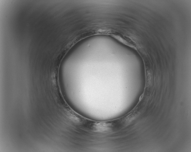 X0000071970269200608041653