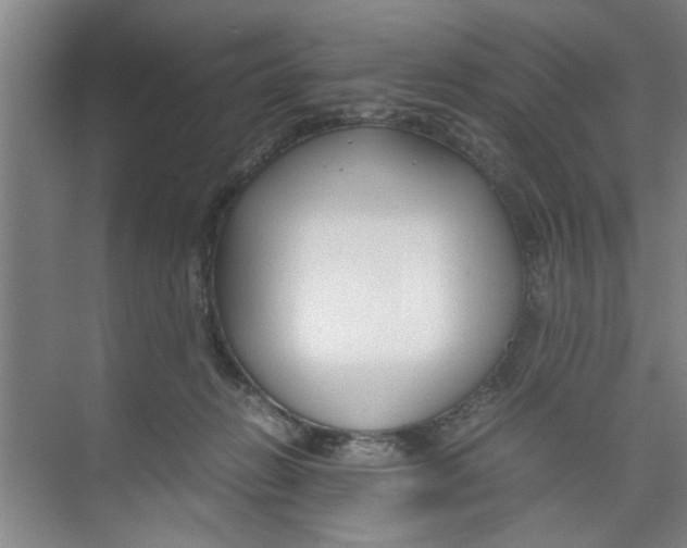 X0000071970270200608041653