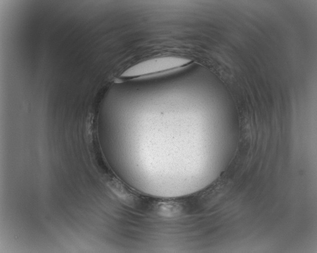 X0000071970275200608041653