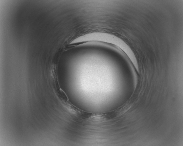 X0000071970280200608041654