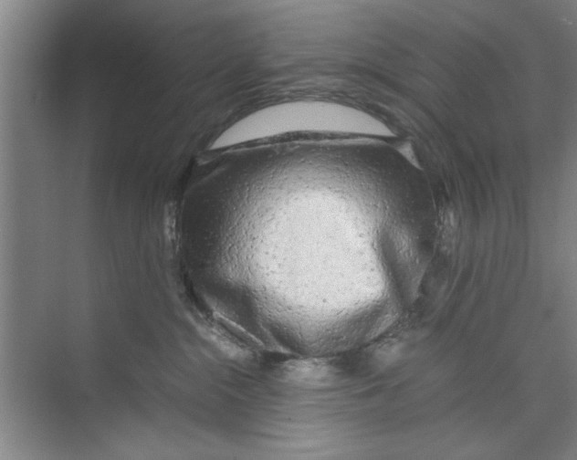 X0000071970284200608041654