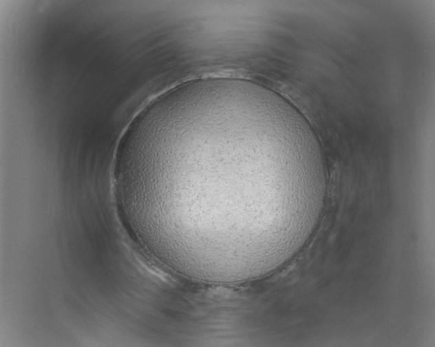 X0000071970290200608041653