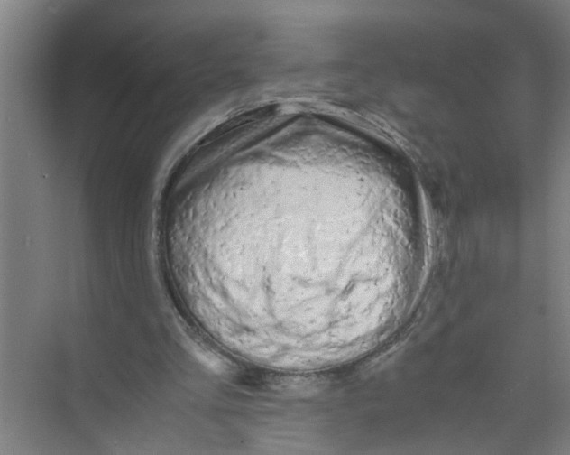 X0000071970293200608041653