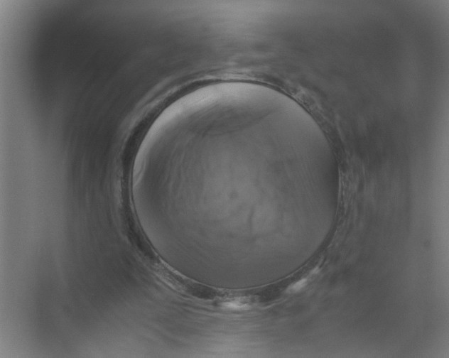 X0000071970295200608041653