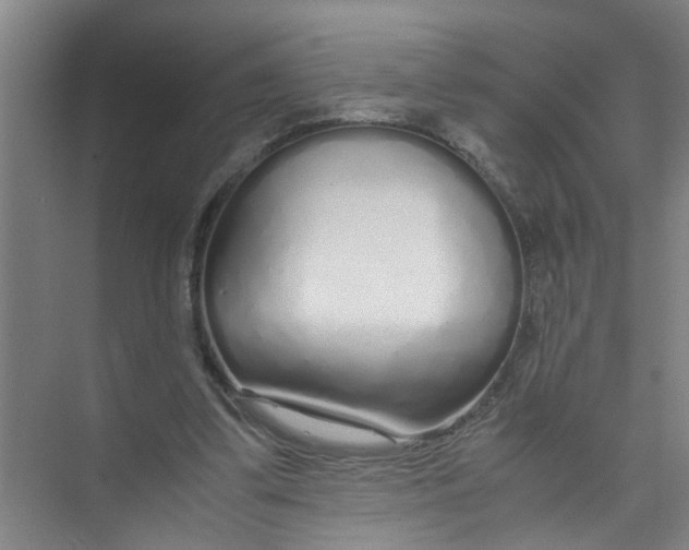X0000071970299200608041653