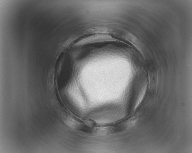 X0000071970301200608041653