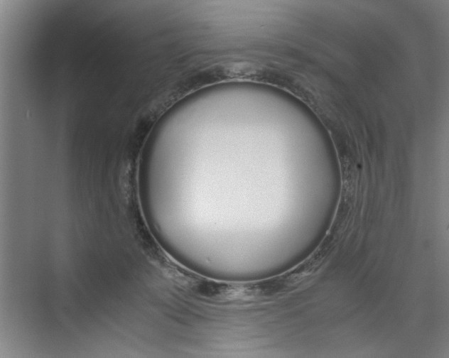 X0000071970319200608041652