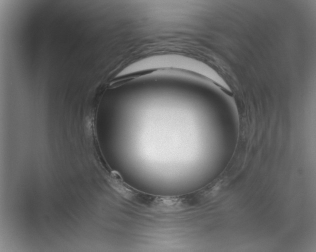 X0000071970329200608041652