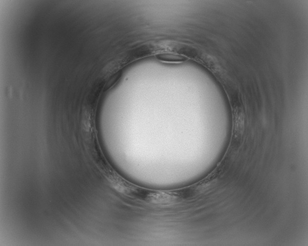X0000071970331200608041652