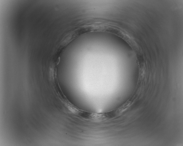 X0000071970333200608041652