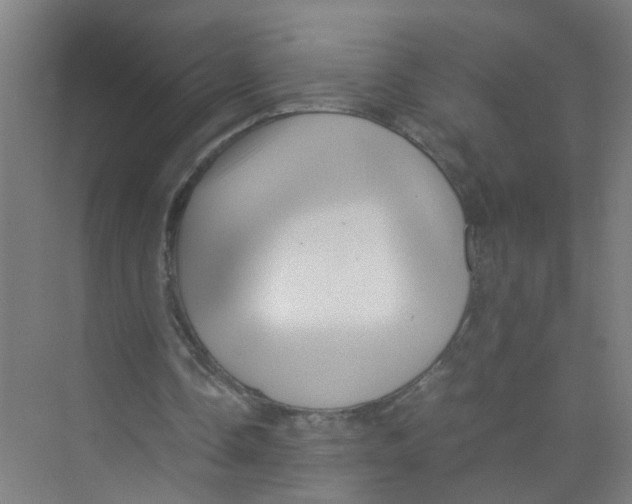 X0000071970338200608041651