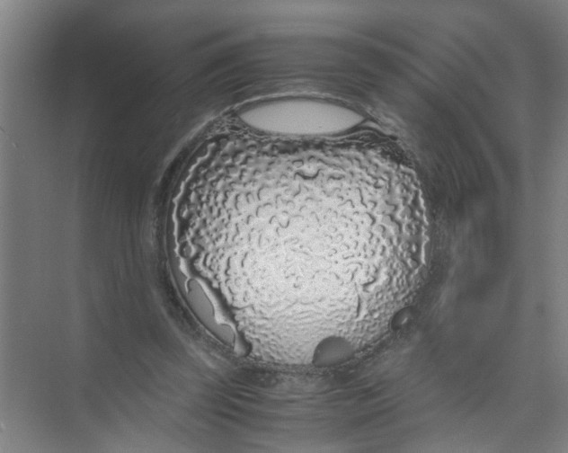 X0000071970347200608041651