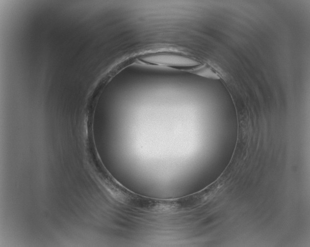 X0000071970350200608041651