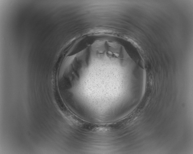 X0000071970352200608041651